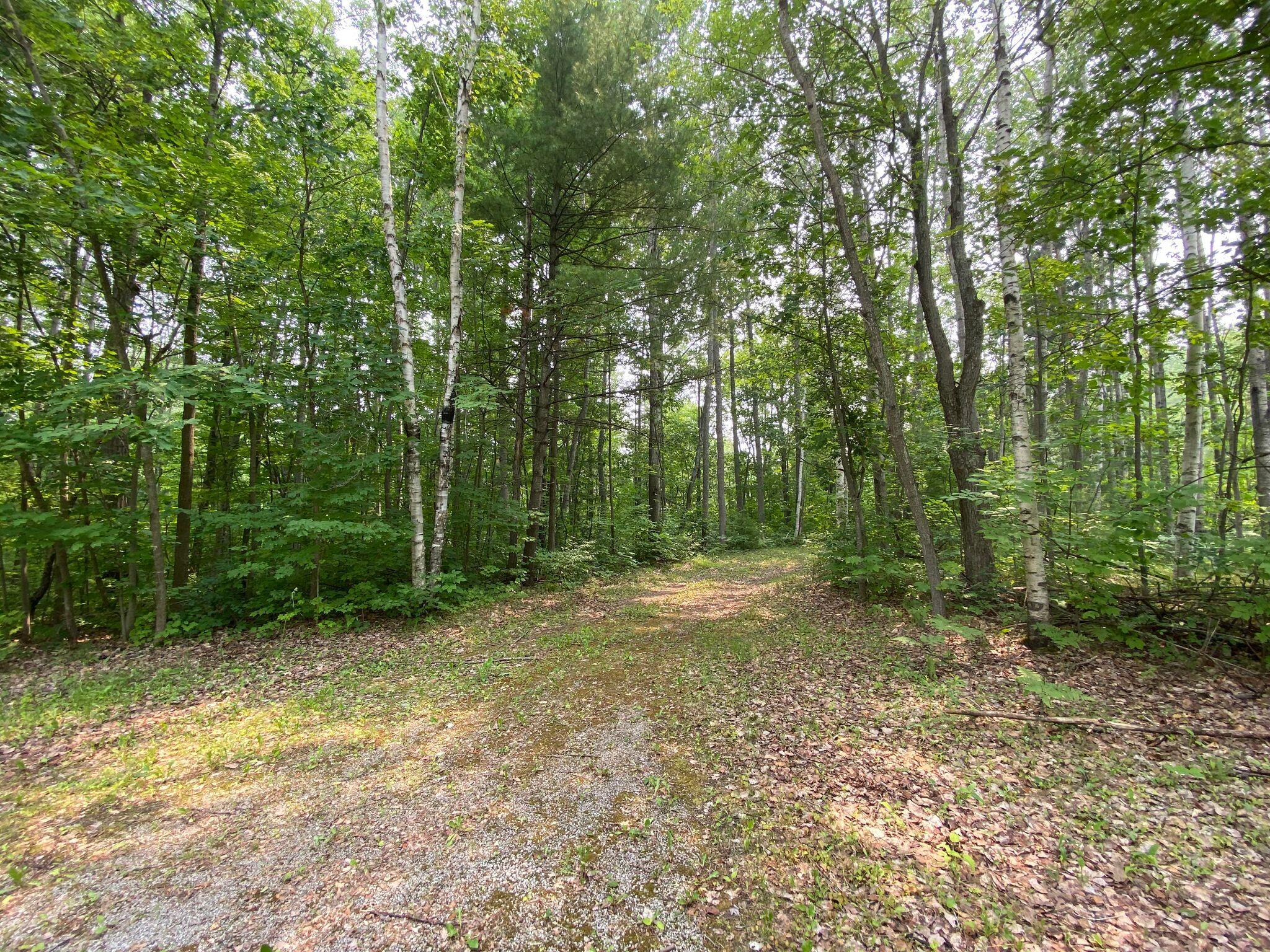 5180 North Weaver Road Comins, MI 48619 - Photo 23 of 28 Gallery Image 23