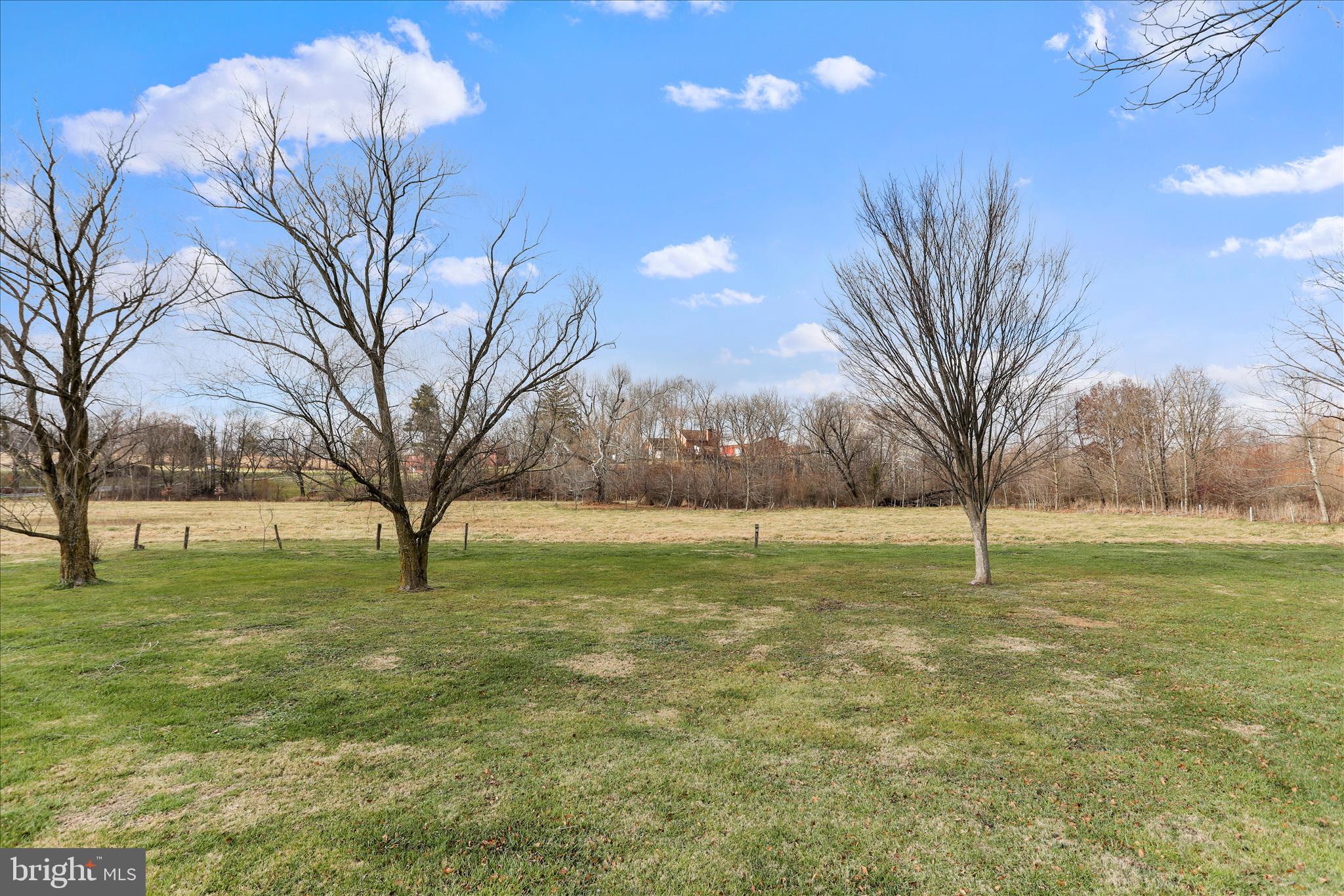 21938 Durberry Road Smithsburg, MD 21783 - Photo 44 of 55 a view of yard with trees