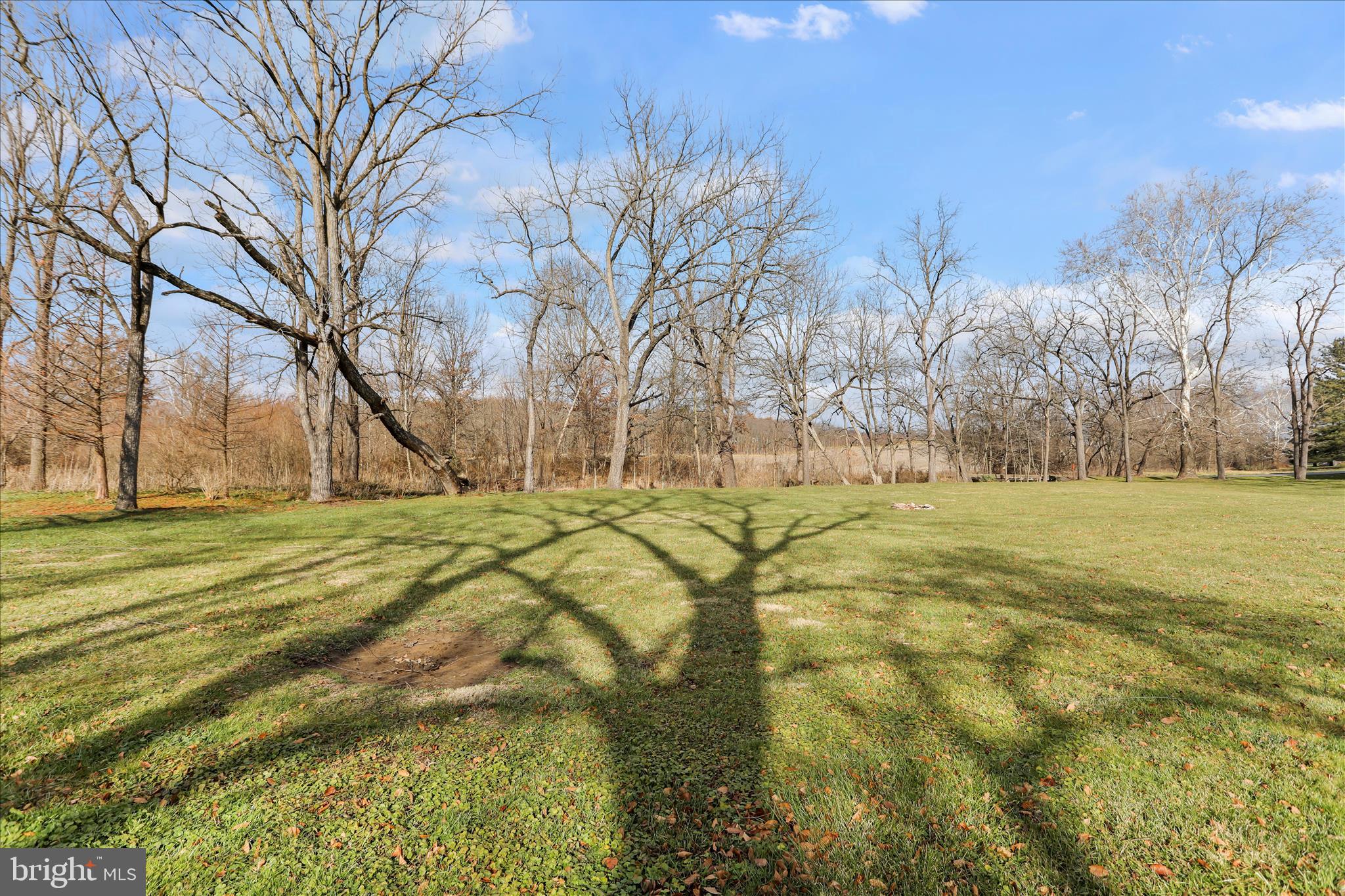 21938 Durberry Road Smithsburg, MD 21783 - Photo 46 of 55 a view of yard with tree