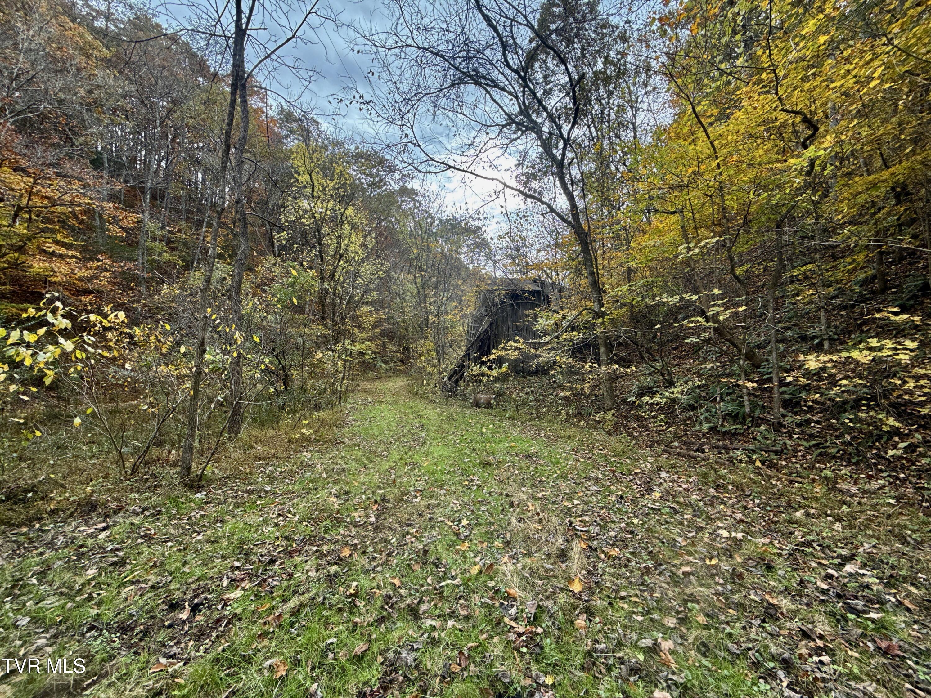 1499 Keesel Hollow Road Bybee, TN 37713 - Photo 21 of 39 _Pic17 (36)