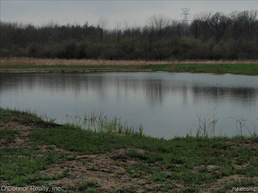 10126 Lambs Road Goodells, MI 48027 - Photo 3 of 8 10126 Lambs Road - pond