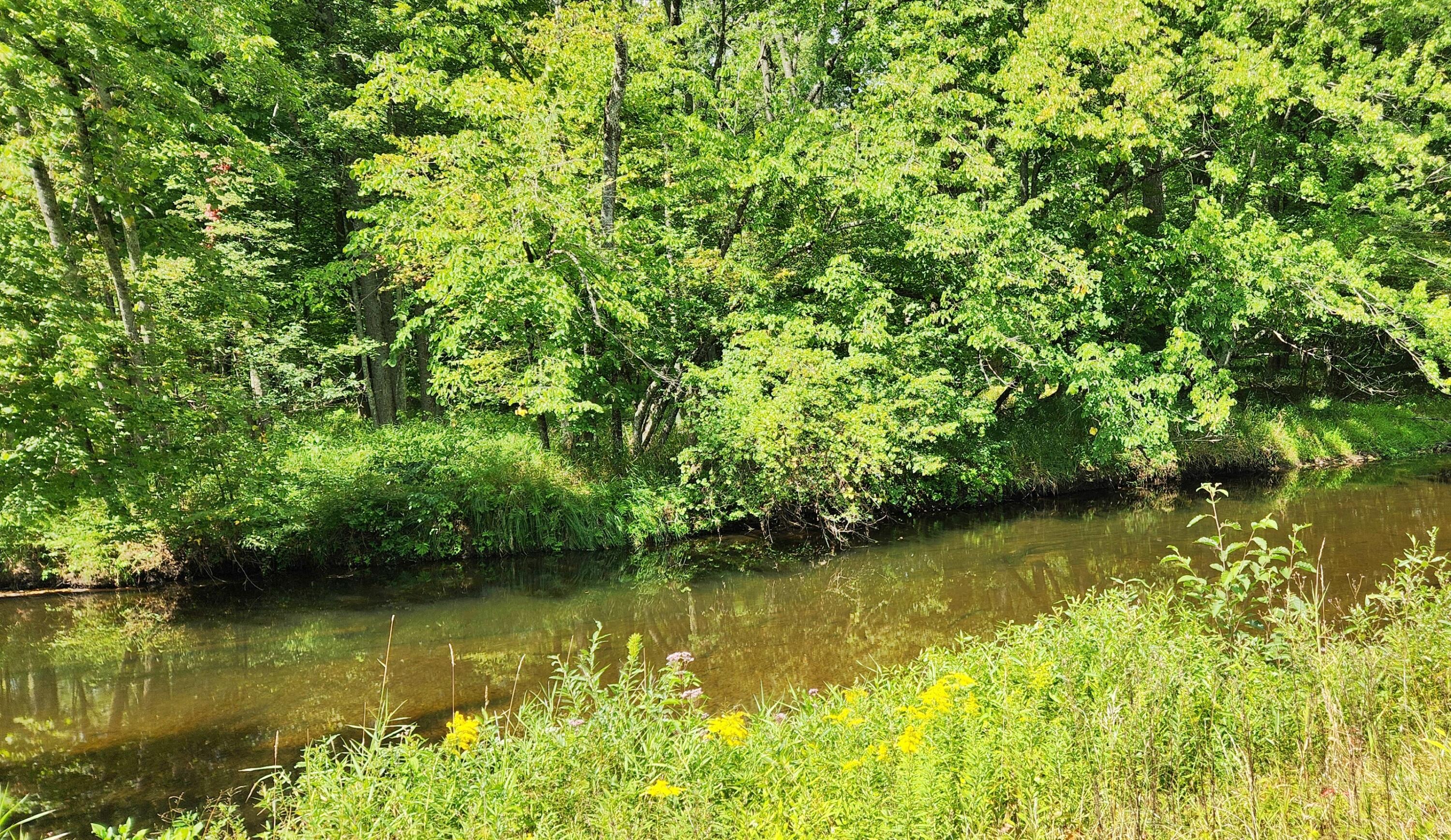 9557 East Anthony Road Branch, MI 49402 - Photo 80 of 98 1000032124
