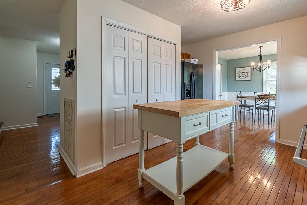 29122 Rhea Valley Road Meadowview, VA 24361 - Photo 22 of 67 Gallery Image 22