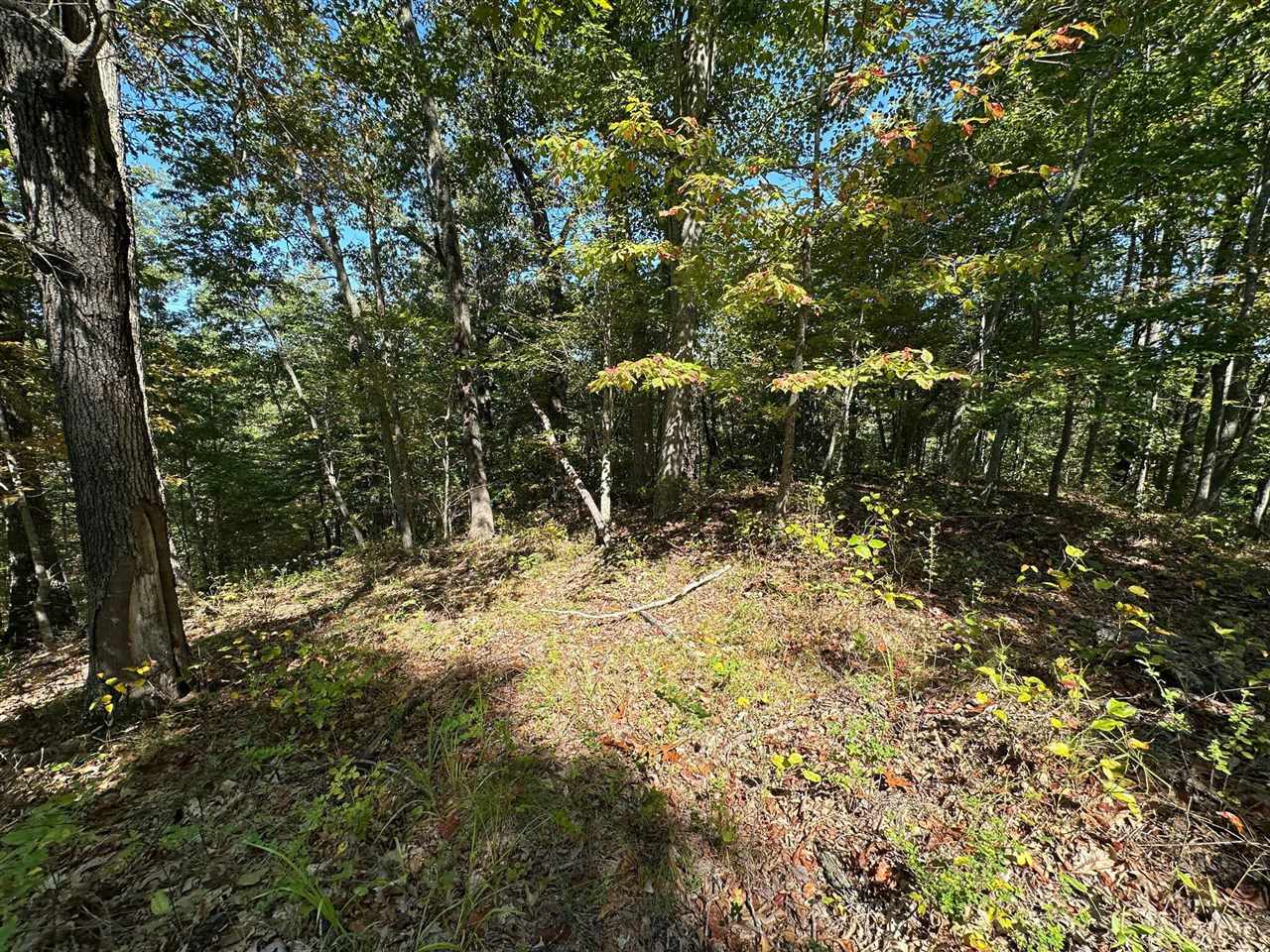 18 A Hall Road Grayson, KY 41143 - Photo 47 of 77 Gallery Image 47