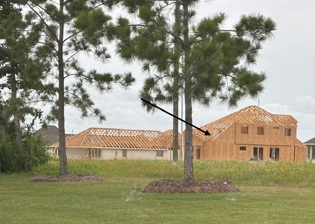 3215 Raintree Crescent Trail Spring Spring, TX 77386 - Photo 14 of 17