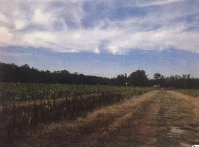 Rd Road Conway, SC 29527 - Photo 2 of 3 Gallery Image 2