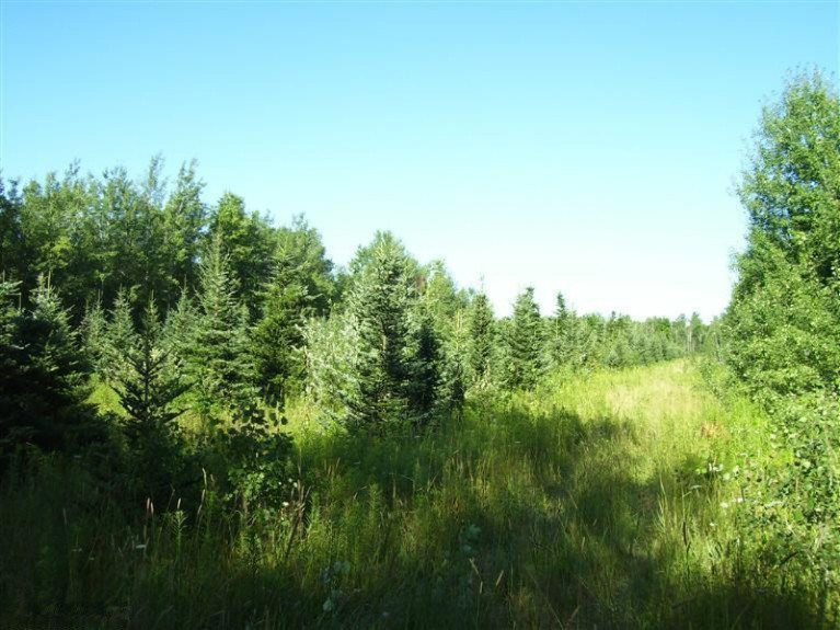 East Ellis Road Muskegon, MI 49444 - Photo 2 of 4 Additional Photo