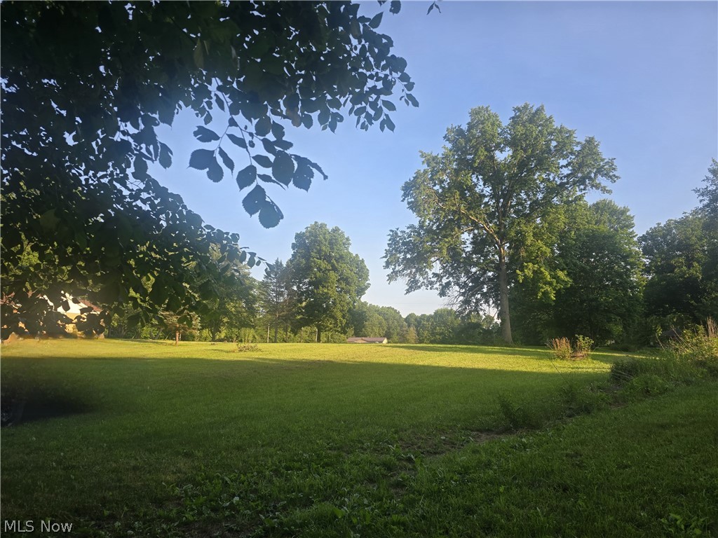 V/l Nelson Mosier Road Southington, OH 44470 - Photo 5 of 11