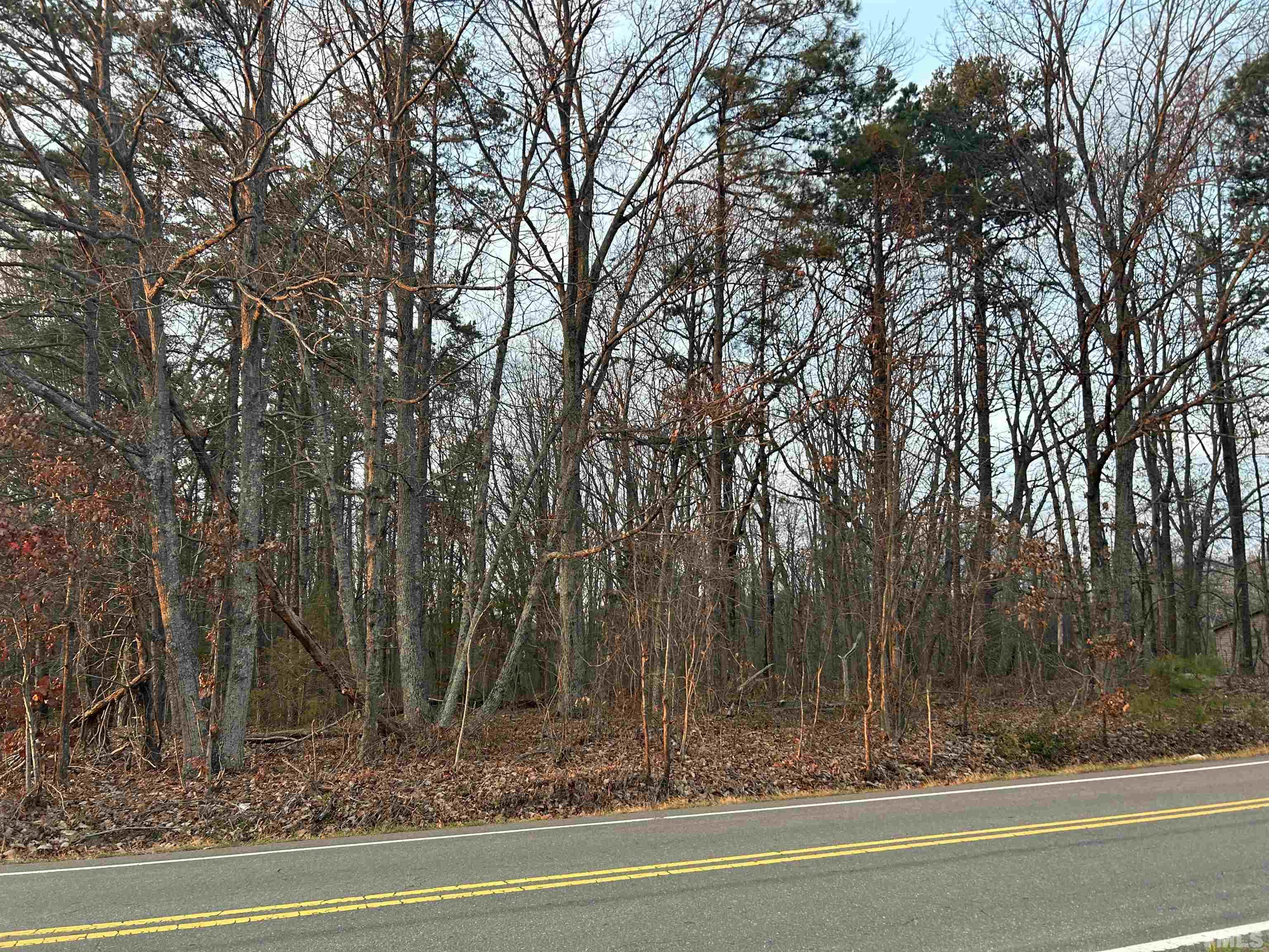 69.58-acres Mountain Road Roxboro, NC 27574 - Photo 7 of 10 a view of a yard with large trees