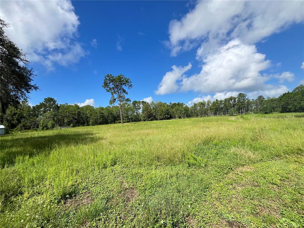 820 Chicken Farm Road Osteen, FL 32764 - Photo 20 of 30 a view of a lake with houses in the back