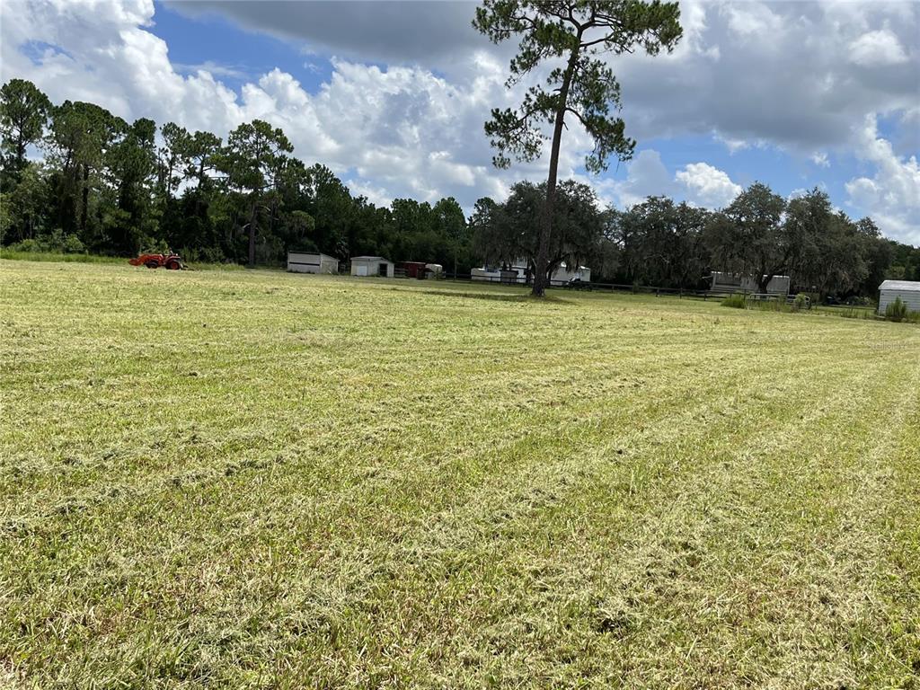 820 Chicken Farm Road Osteen, FL 32764 - Photo 21 of 30 a view of a field with an trees in the background