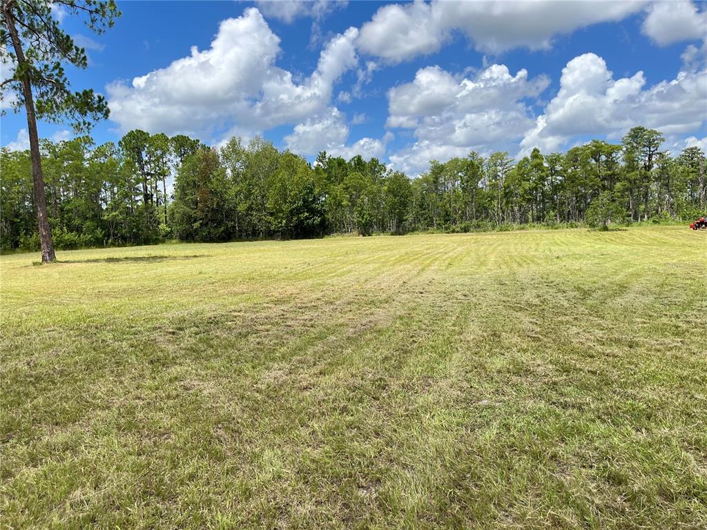820 Chicken Farm Road Osteen, FL 32764 - Photo 22 of 30 a view of an ocean and a yard