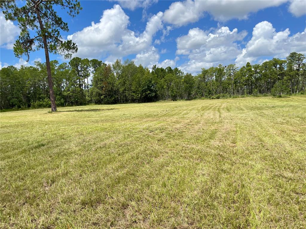 820 Chicken Farm Road Osteen, FL 32764 - Photo 23 of 30 a view of empty field with house in background
