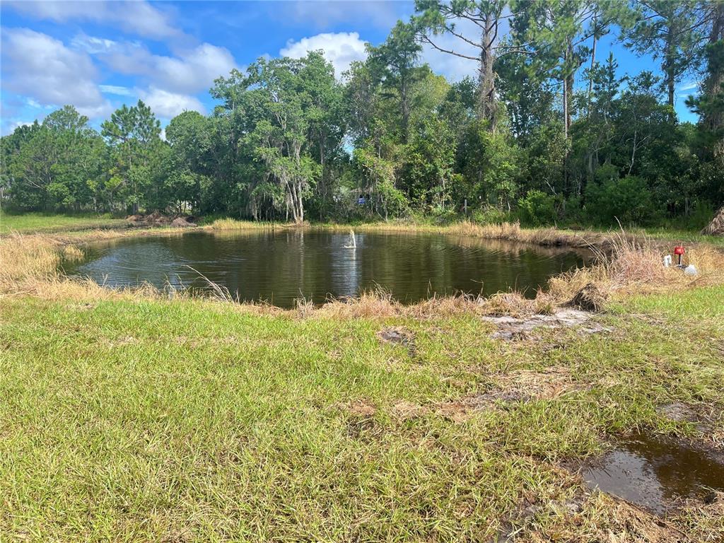 820 Chicken Farm Road Osteen, FL 32764 - Photo 28 of 30 a view of lake