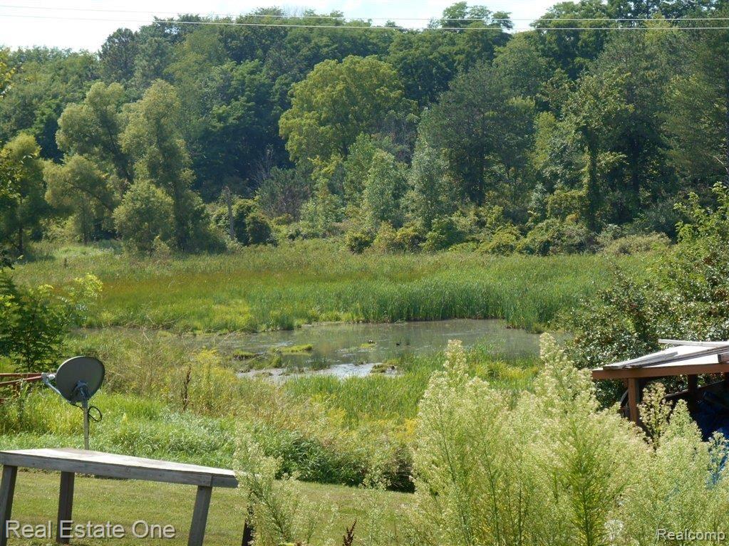 5985 East Allen Road Howell, MI 48855 - Photo 6 of 27 POND 1