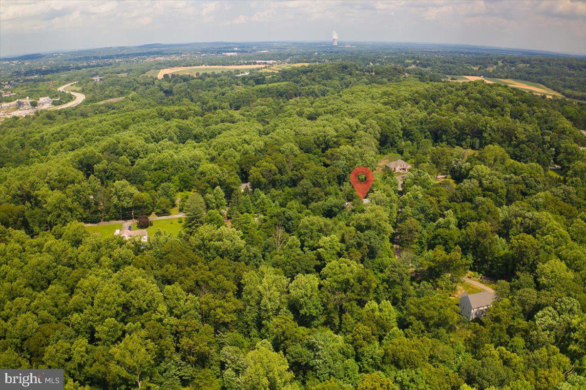 1199 Shenkel Road Pottstown, PA 19465 - Photo 13 of 38 Mature wooded area