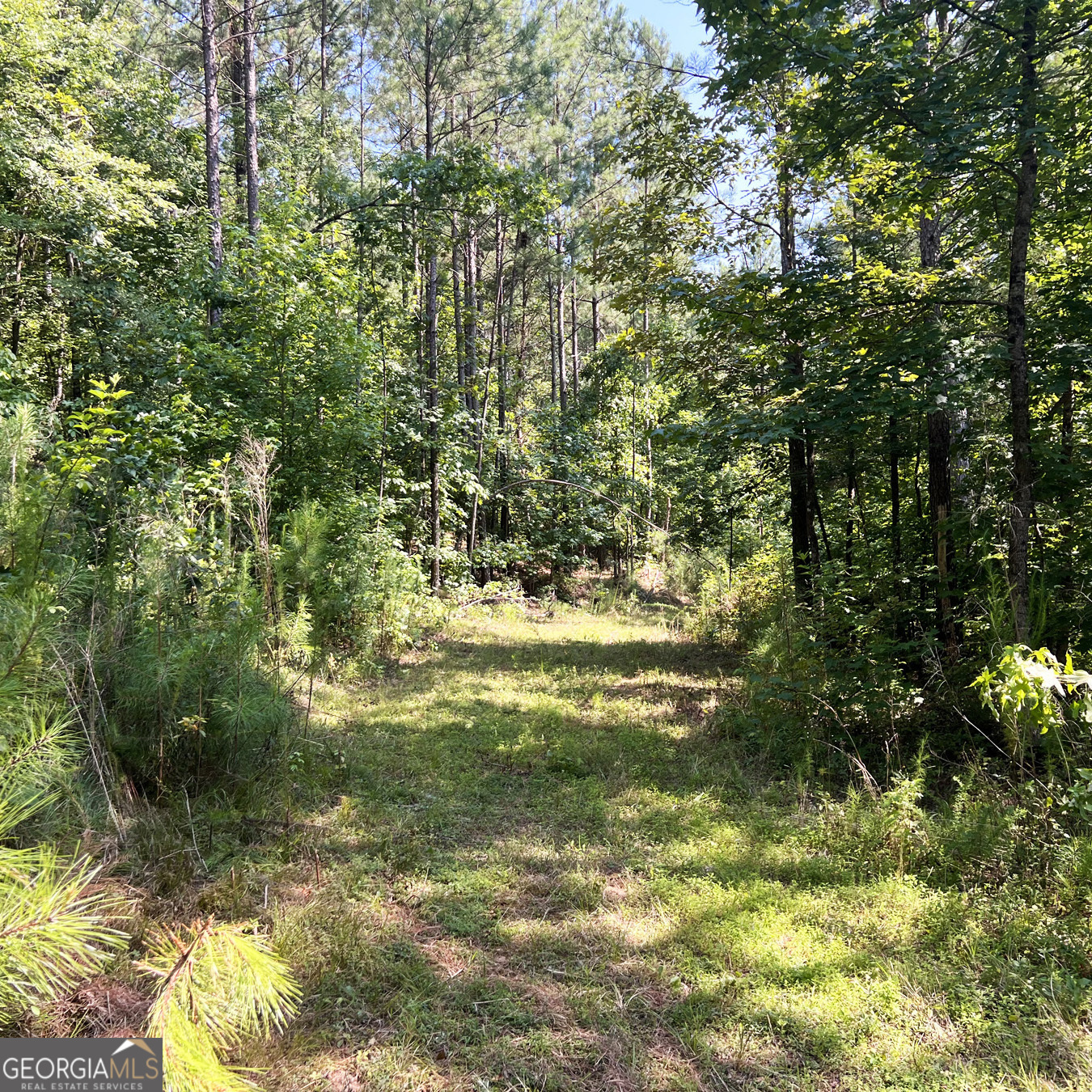 0 Booger Hollow Road Rome, GA 30161 - Photo 12 of 29 a view of yard with green space