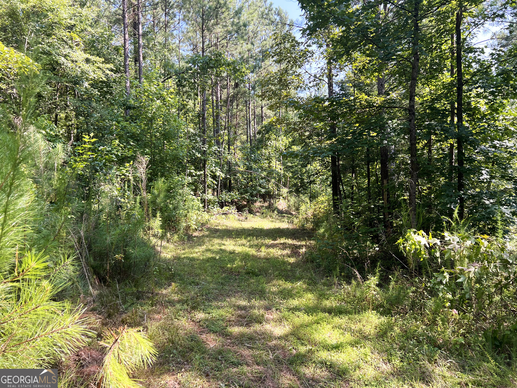 0 Booger Hollow Road Rome, GA 30161 - Photo 13 of 29
