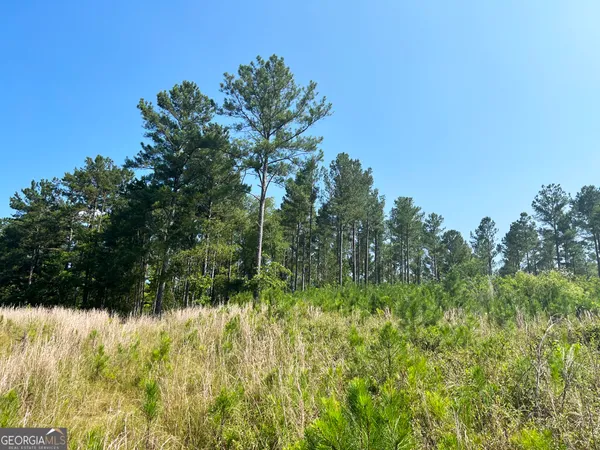 a view of yard with green space