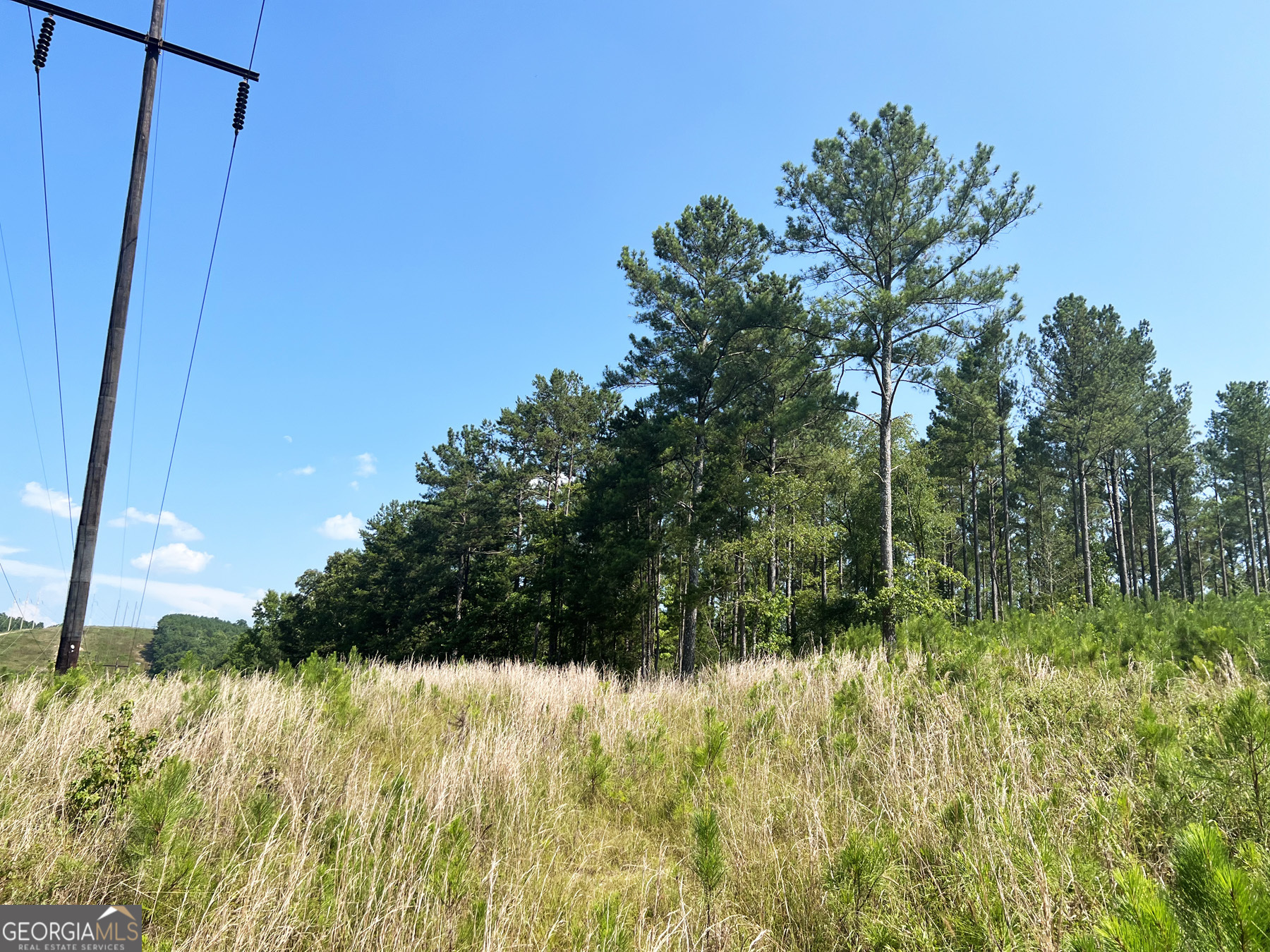 0 Booger Hollow Road Rome, GA 30161 - Photo 15 of 34 a view of swimming pool from a yard