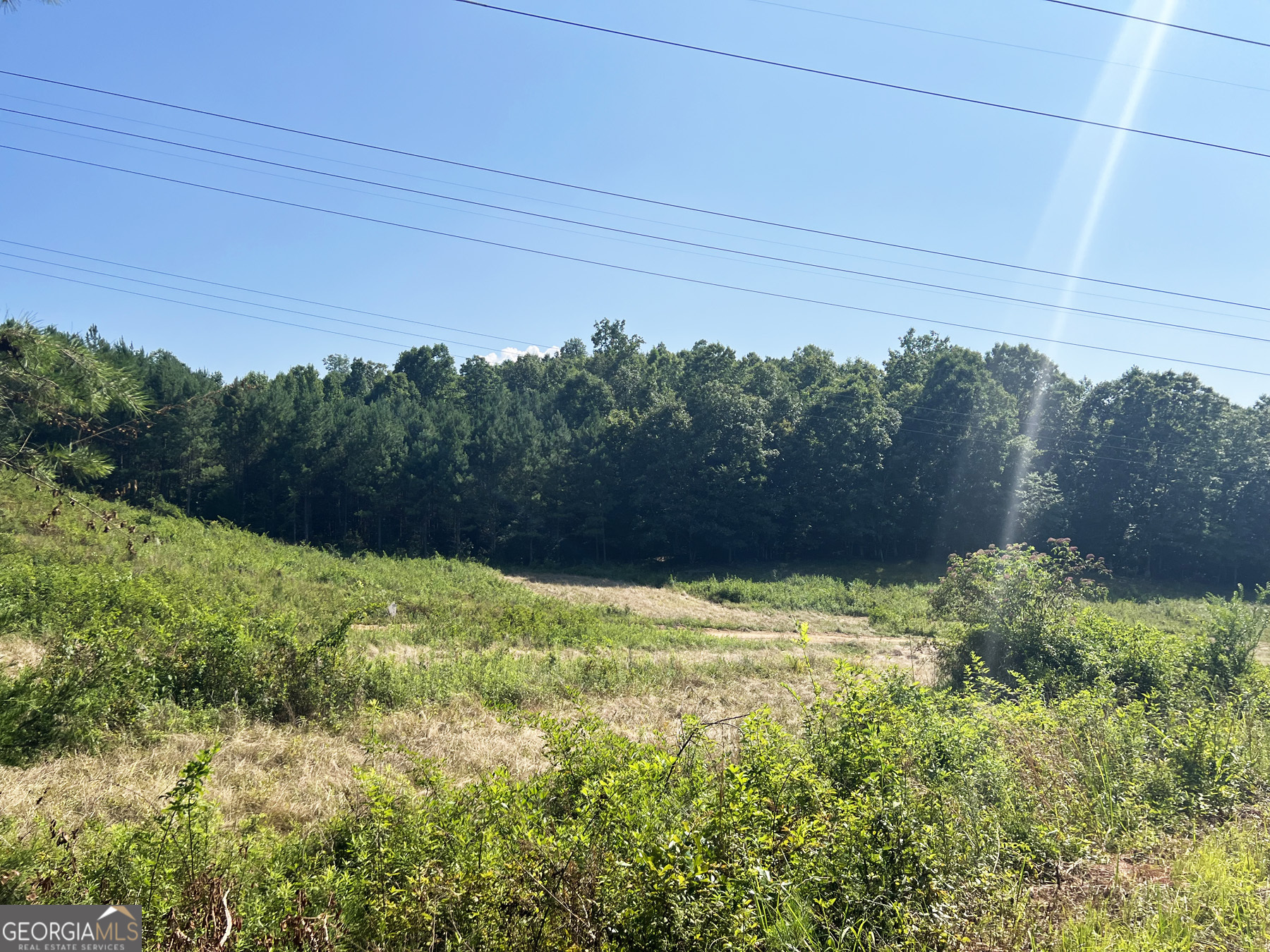 0 Booger Hollow Road Rome, GA 30161 - Photo 15 of 29 a view of a yard