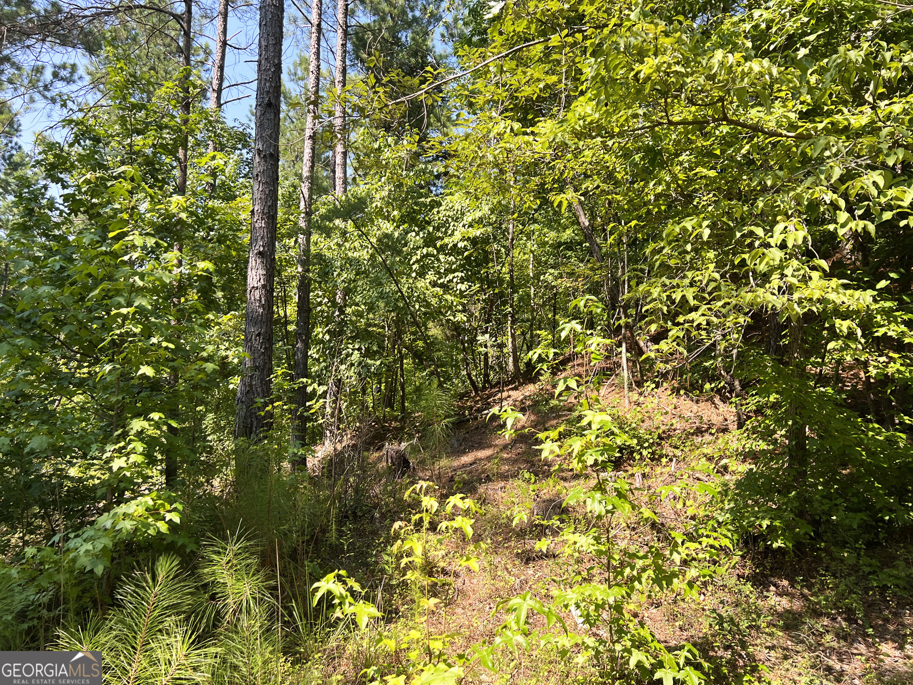 0 Booger Hollow Road Rome, GA 30161 - Photo 16 of 34 a view of a tree