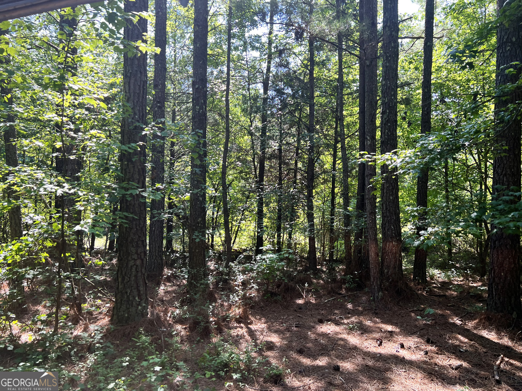 0 Booger Hollow Road Rome, GA 30161 - Photo 17 of 29 a view of forest