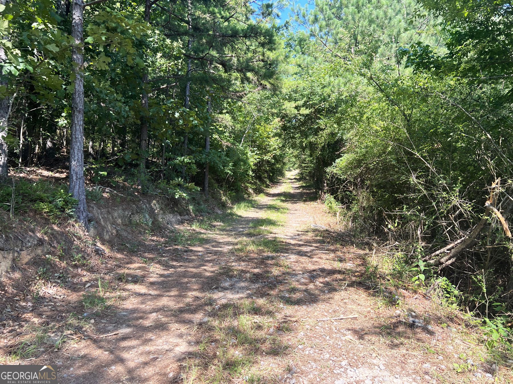 0 Booger Hollow Road Rome, GA 30161 - Photo 19 of 34 a backyard of a house with lots of green space