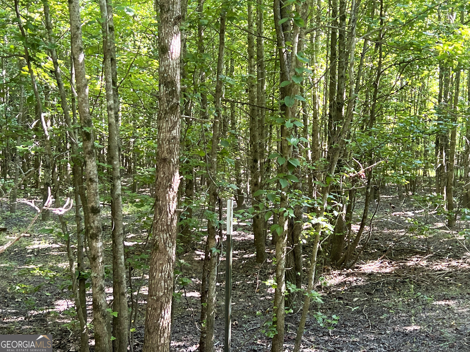 0 Booger Hollow Road Rome, GA 30161 - Photo 20 of 29