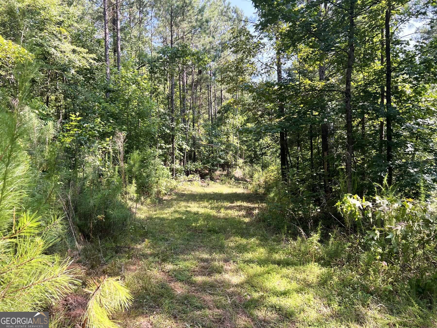 0 Booger Hollow Road Rome, GA 30161 - Photo 2 of 6 a view of yard with green space