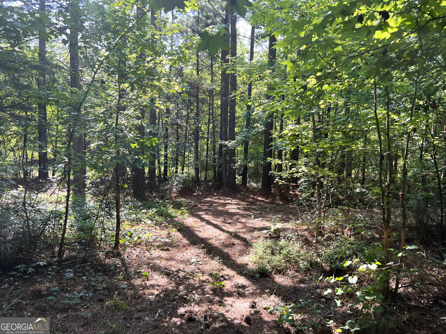 0 Booger Hollow Road Rome, GA 30161 - Photo 21 of 34 a backyard of a house with lots of green space