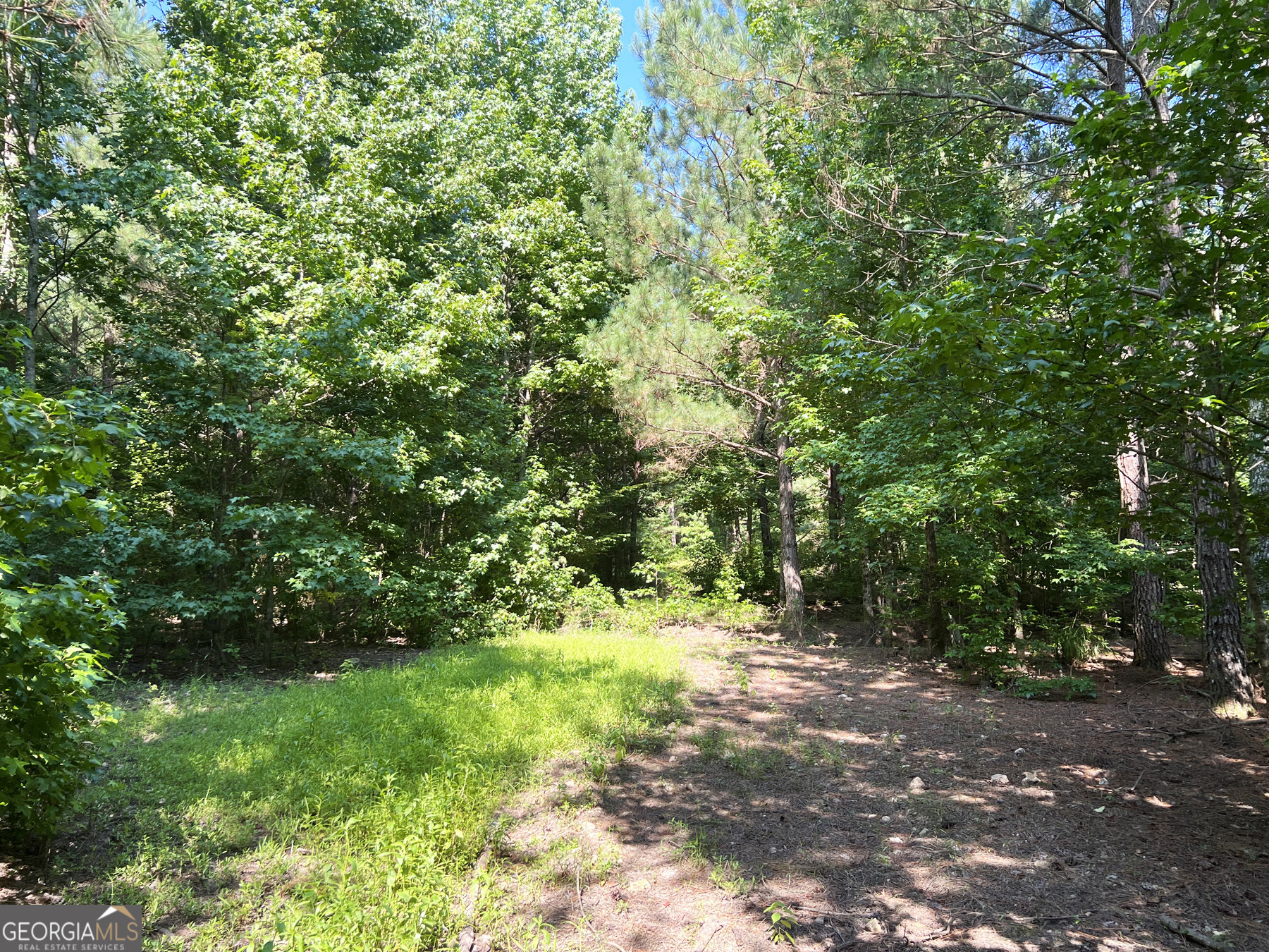 0 Booger Hollow Road Rome, GA 30161 - Photo 27 of 34 a view of a trees with a tree