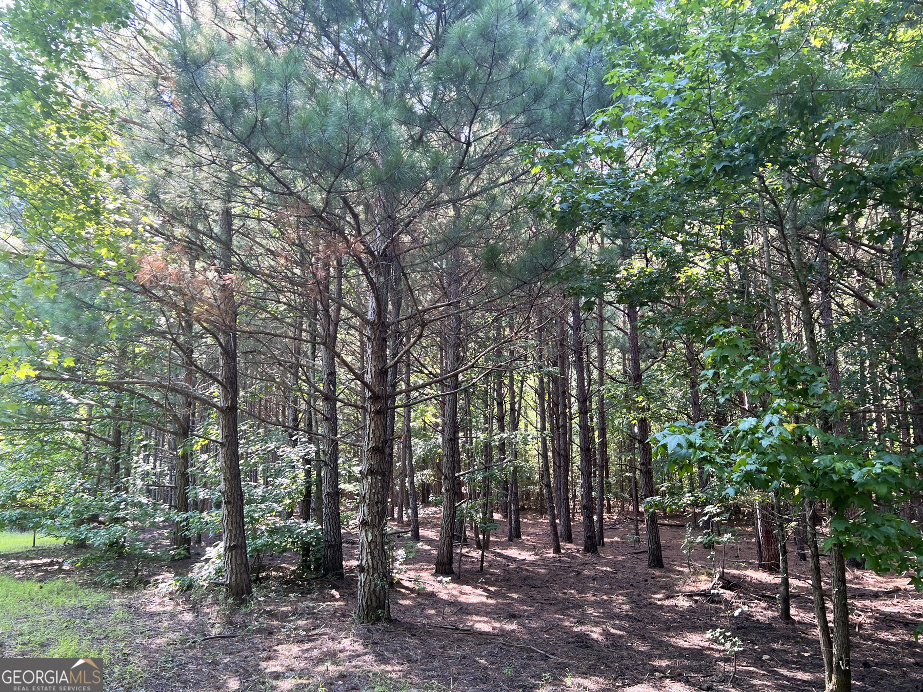 0 Booger Hollow Road Rome, GA 30161 - Photo 29 of 34 a view of outdoor space and yard