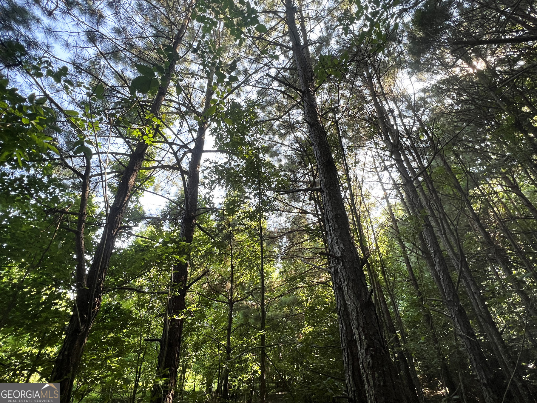 0 Booger Hollow Road Rome, GA 30161 - Photo 32 of 34 a view of outdoor space