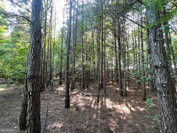 $746,340 | 0 Booger Hollow Road, Rome, GA 30161