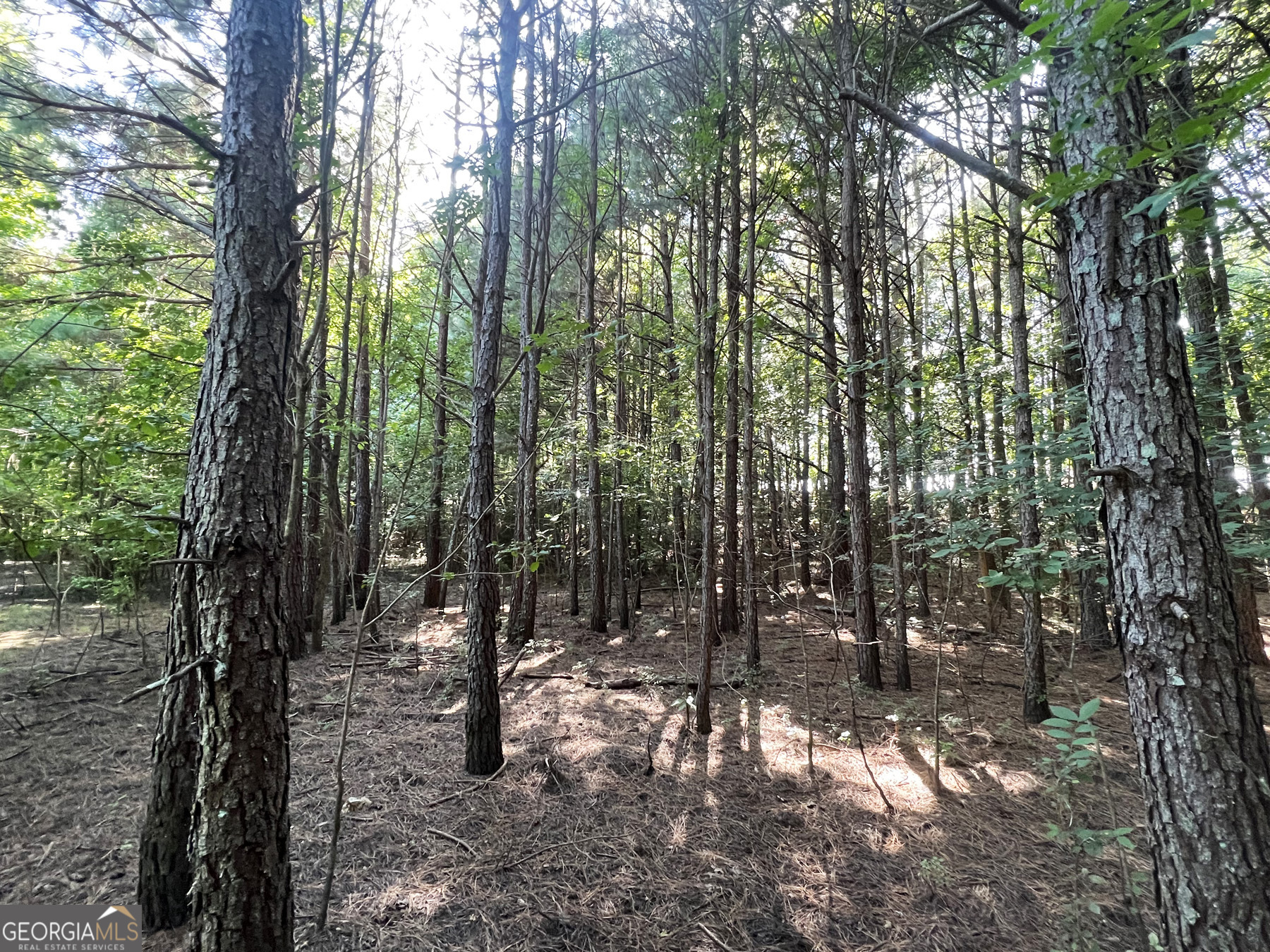 0 Booger Hollow Road Rome, GA 30161 - Photo 33 of 34 a view of outdoor space and green space