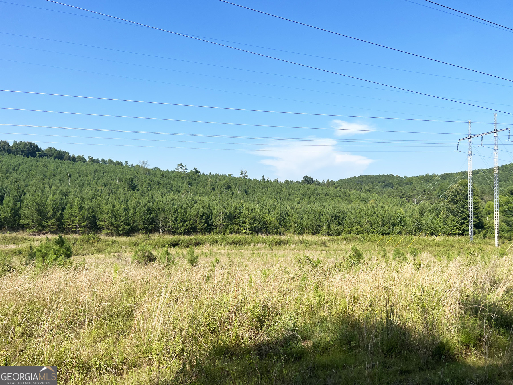 0 Booger Hollow Road Rome, GA 30161 - Photo 34 of 34 a view of a yard with an outdoor space and seating