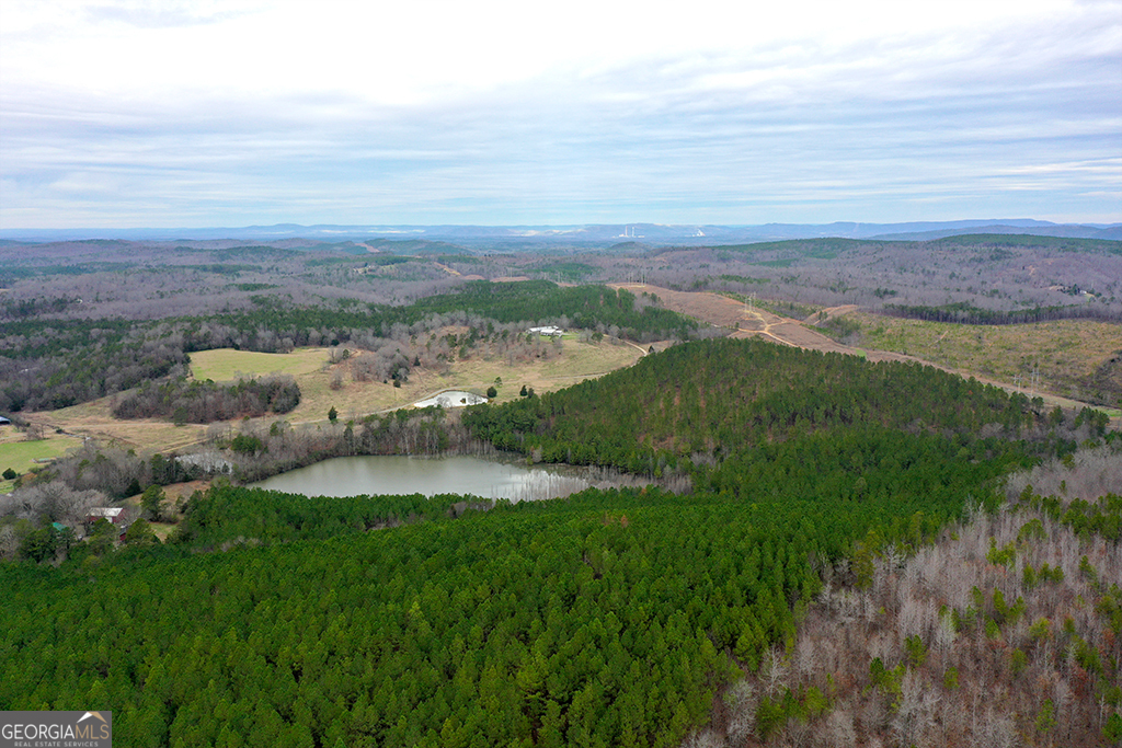 0 Booger Hollow Road Rome, GA 30161 - Photo 5 of 34 a view of lake with mountain