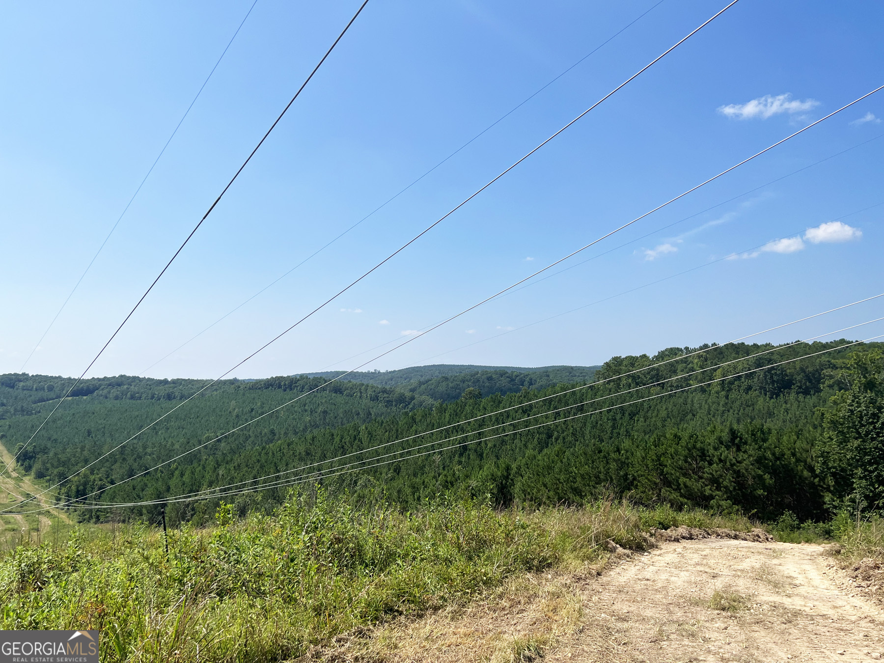 0 Booger Hollow Road Rome, GA 30161 - Photo 6 of 29