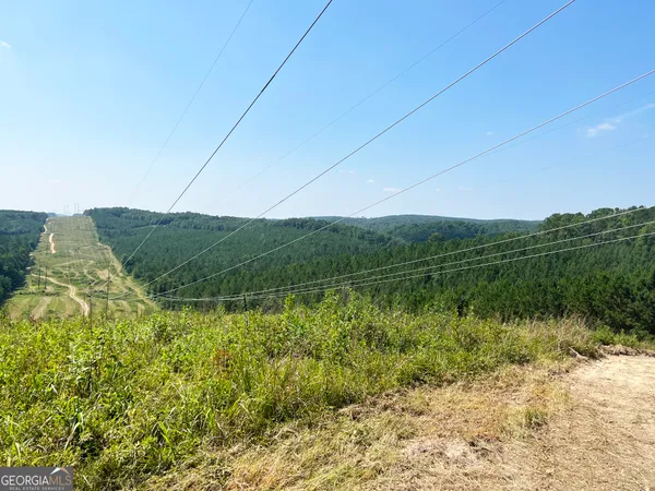 a view of a wooden wall with trees in the background