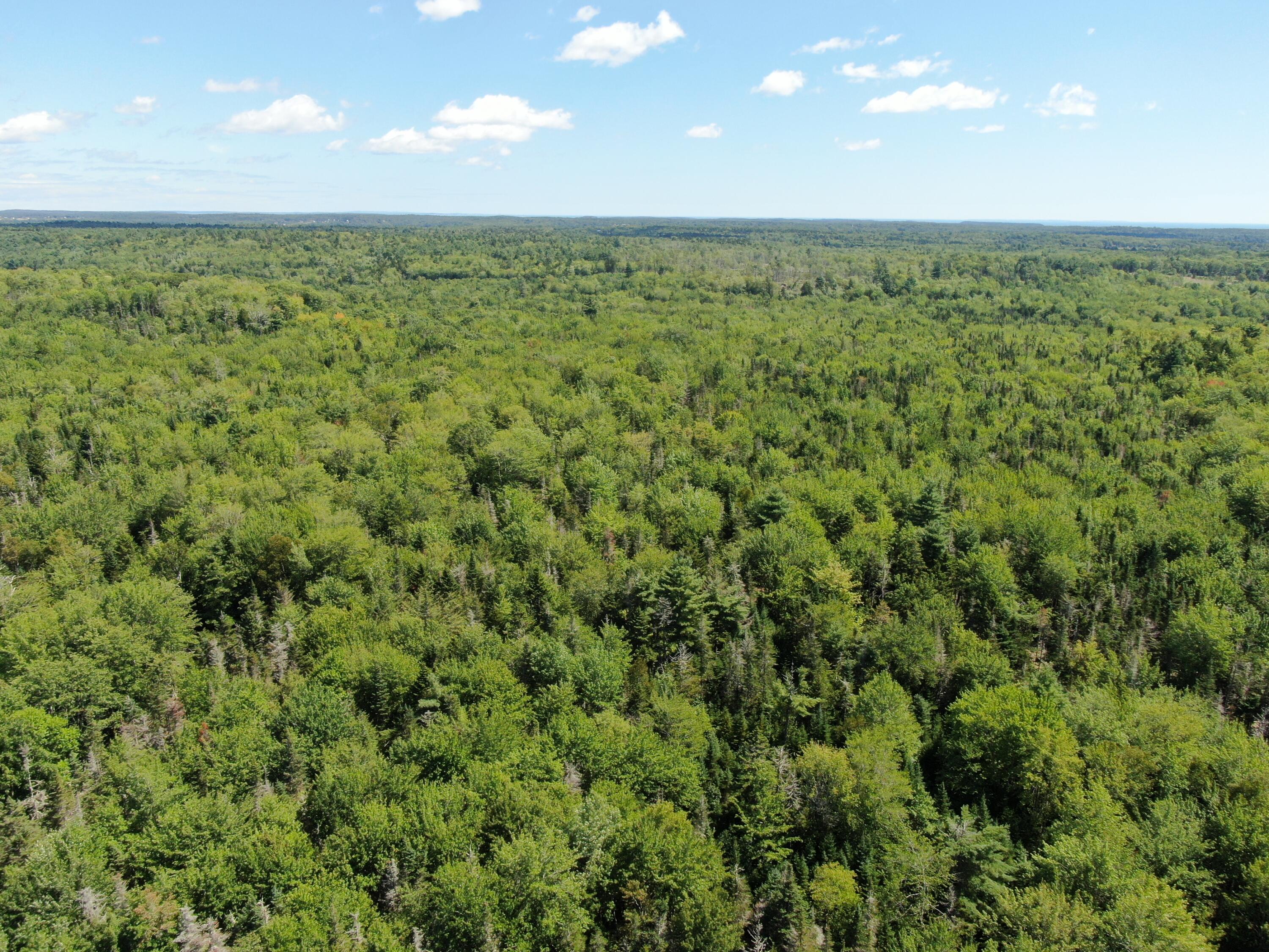 0 Ahola Road Cushing, ME 04563 - Photo 8 of 21 DJI_0556