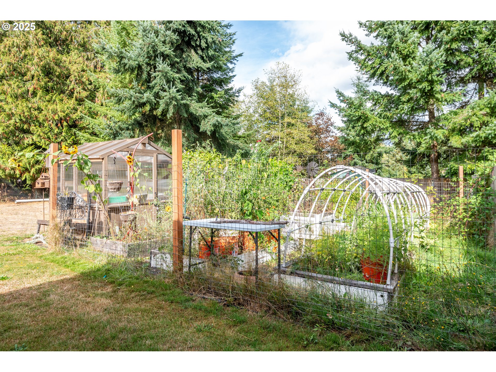 124 Vineyard Lane Winlock, WA 98596 - Photo 29 of 35