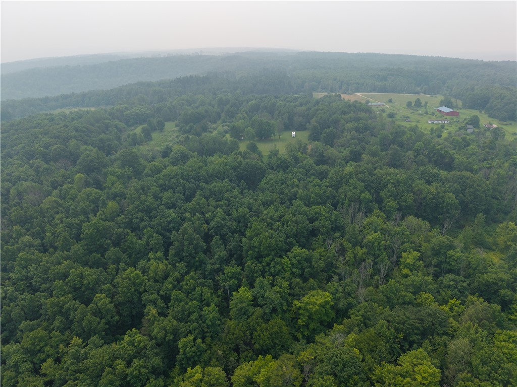 2571 Delude Road Dalton, NY 14836 - Photo 43 of 48