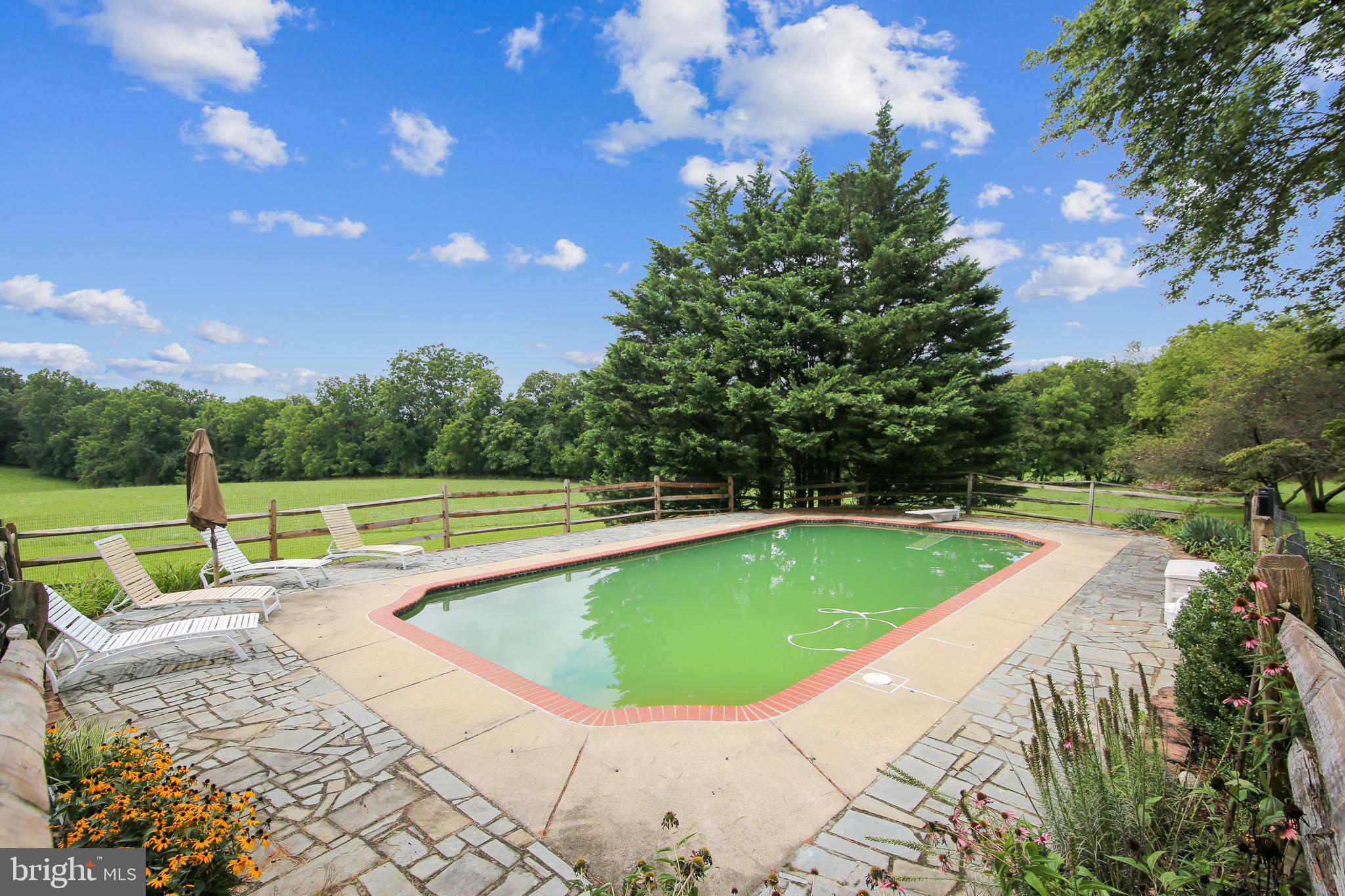 13030 Prices Distillery Road Clarksburg, MD 20871 - Photo 61 of 90 In-ground swimming pool (Sold As Is)