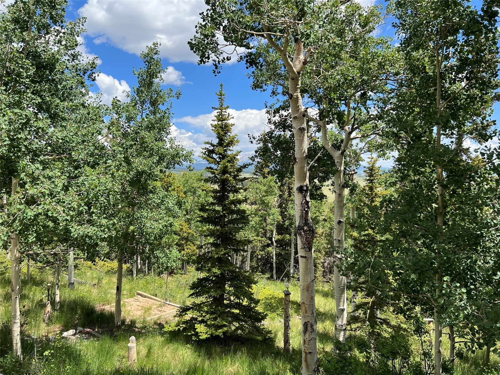 451 Sheep Ridge Road Fairplay, CO 80440 - Photo 15 of 32 Gallery Image 15