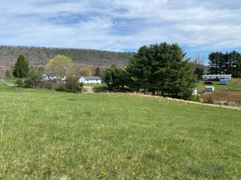 Lot 3 Walton Furnace Road, Unit 3 Max Meadows, VA 24360 - Photo 2 of 5 Gallery Image 2