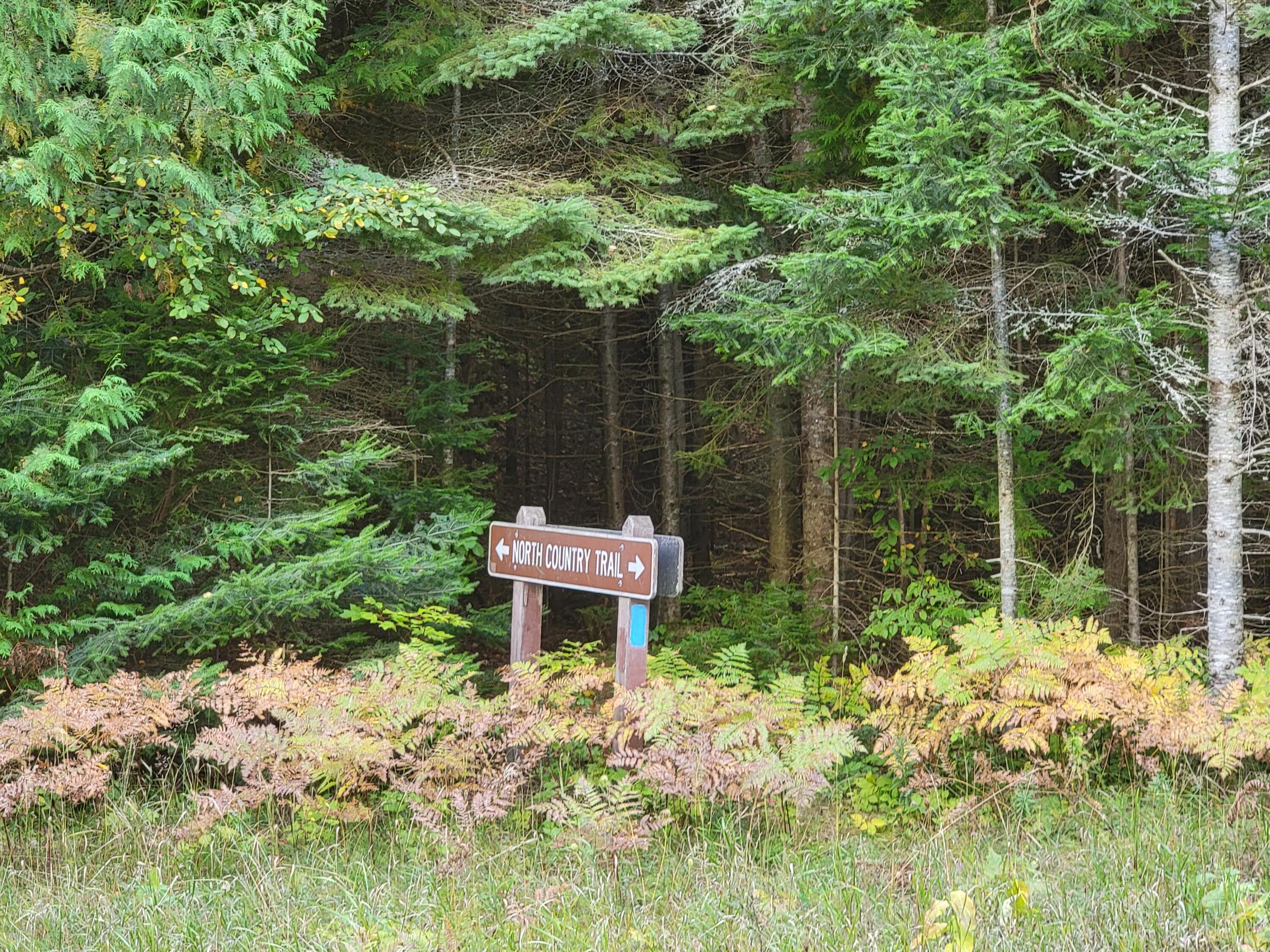 Lot 1 Brevort Camp Road Moran, MI 49760 - Photo 25 of 66 Gallery Image 25