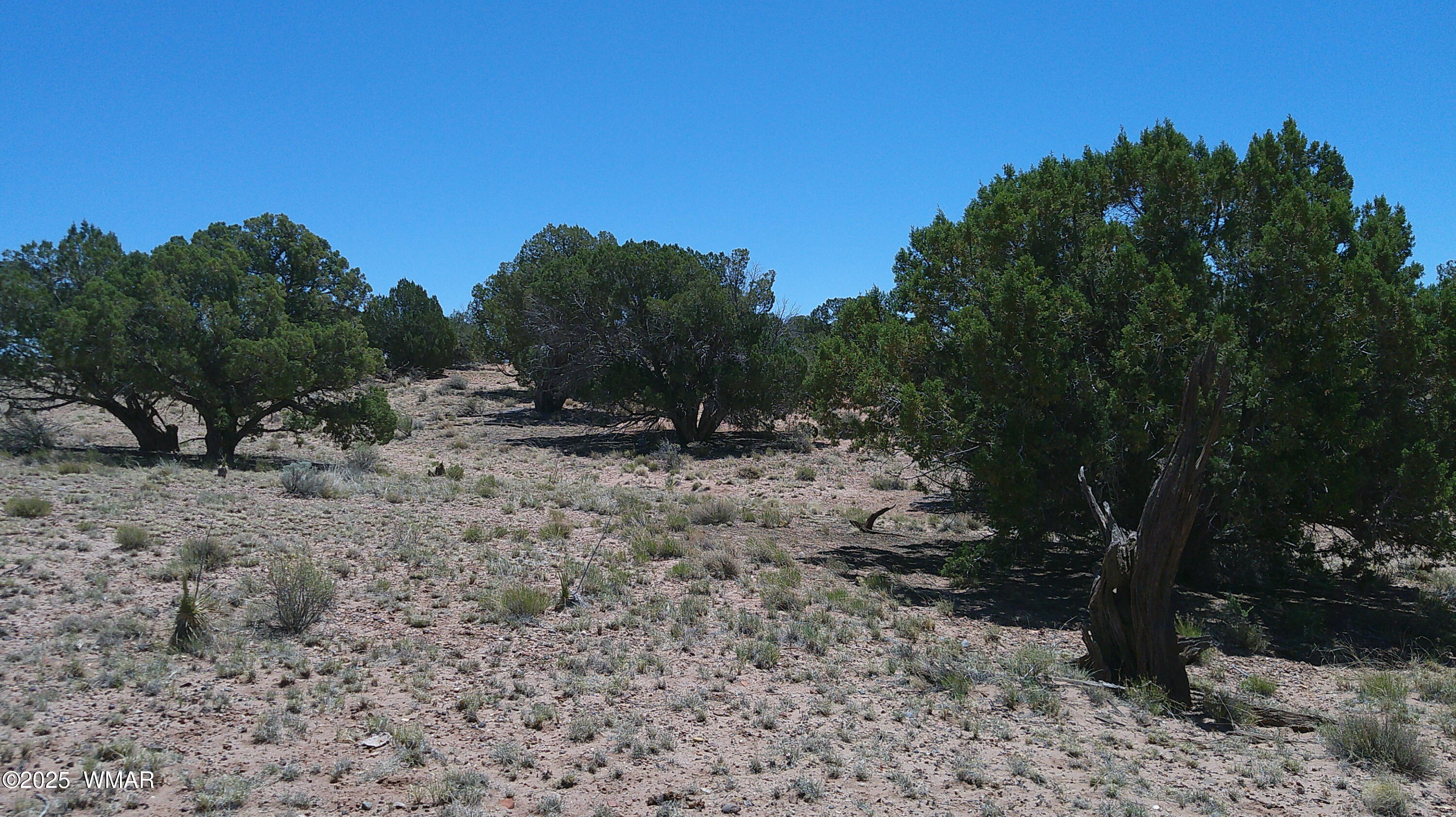 Tbd Tbd Rio Ranch Concho, AZ 85924 - Photo 21 of 44 DSCF0037