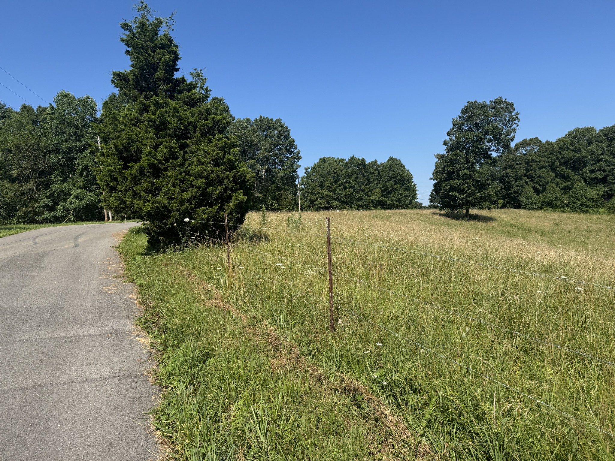 0 Pack Road White Bluff, TN 37187 - Photo 3 of 8 a view of a yard with a tree