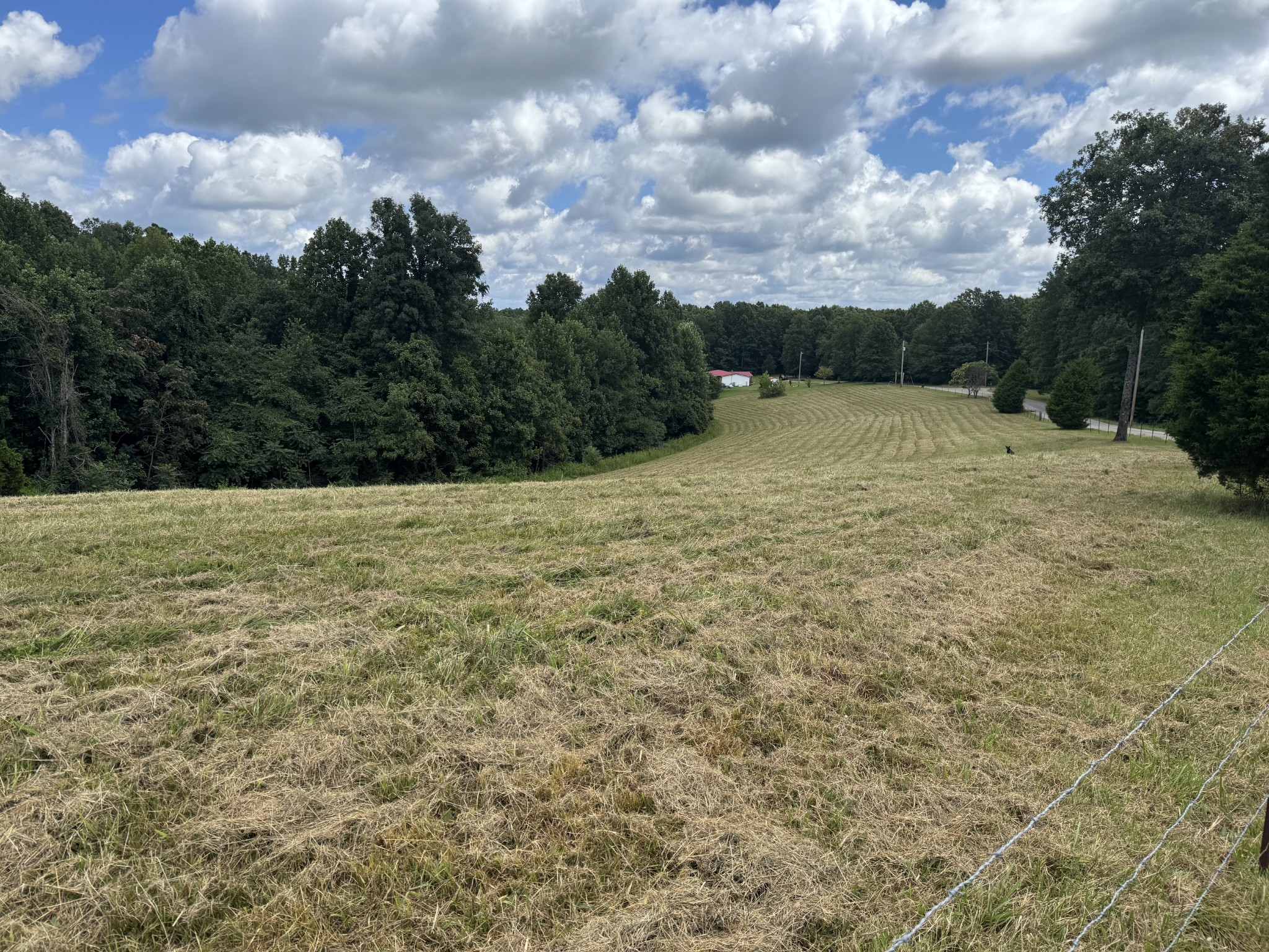 0 Pack Road White Bluff, TN 37187 - Photo 5 of 8 a view of basketball court